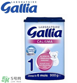 gallia佳利雅奶粉怎么沖？gallia佳利雅奶粉沖調(diào)方法？
