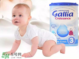 gallia奶粉分段介紹 gallia奶粉分段說明 gallia奶粉分段介紹 gallia奶粉分段說明