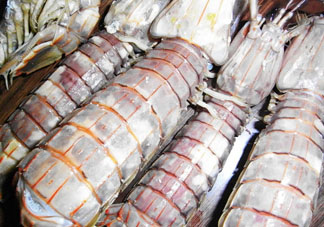 皮皮蝦可以放冰箱嗎？皮皮蝦能放冰箱保存嗎？