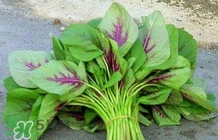 莧菜怎么種？莧菜如何種植