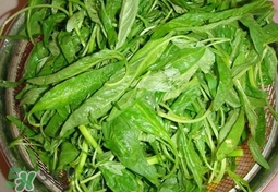 莧菜怎么吃？莧菜怎么炒