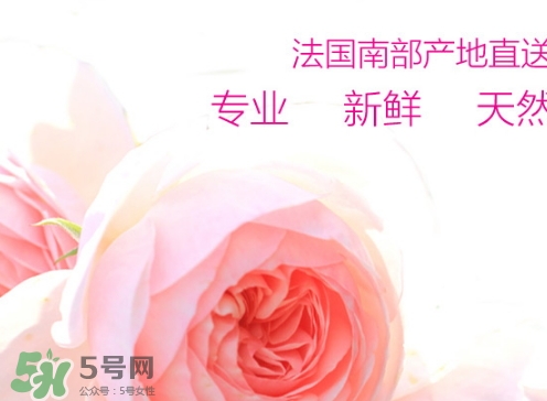 rossi rossa面膜怎么樣？rossi rossa珞珞莊園面膜好不好？