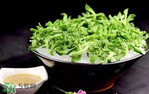 冰菜什么人不適宜吃？冰菜什么體質(zhì)不能吃？