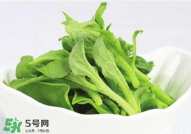 冰草多少錢一斤？非洲冰草多少錢一斤？