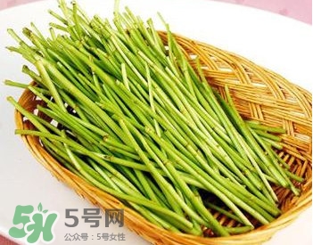 蘆蒿與茼蒿有什么區(qū)別？蘆蒿和茼蒿的區(qū)別