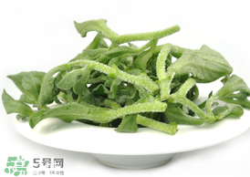 ?冰草為什么會酸？冰草為什么是酸的？