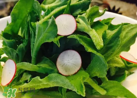 冰草可以生吃嗎？冰草生吃什么味道？