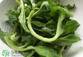 冰菜為什么會酸？冰菜為什么是咸的？