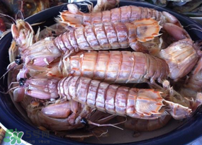 皮皮蝦用涼水還是熱水？煮皮皮蝦涼水還是開水？