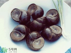 田螺不能和什么一起吃？田螺和什么不能一起吃？