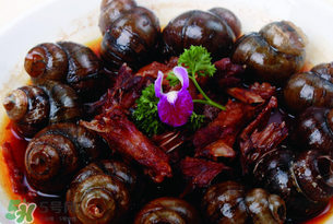 田螺不能和什么一起吃？田螺和什么不能一起吃？