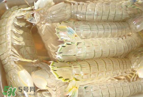 蝦爬子綠色怎么回事？蝦爬子變黑還能吃嗎？