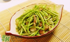 蘆蒿與茼蒿有什么區(qū)別？蘆蒿和茼蒿的區(qū)別