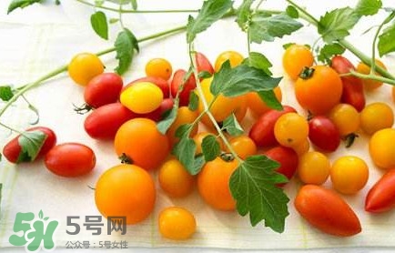 圣女果是轉(zhuǎn)基因的嗎？圣女果轉(zhuǎn)基因食品嗎