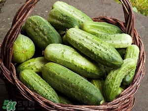 黃瓜根能吃嗎？黃瓜根可以吃嗎？