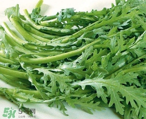 蘆蒿與茼蒿有什么區(qū)別？蘆蒿和茼蒿的區(qū)別