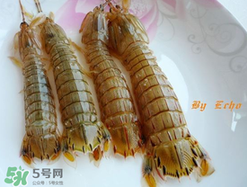 蝦爬子能放多久？蝦爬子怎么保存時間長？