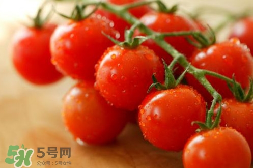 小番茄怎么洗？小番茄怎么清洗