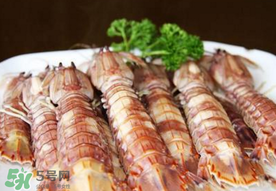 蝦爬子是寒性的嗎？蝦爬子是熱性的還是寒性的？