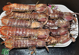 蝦爬子可以煮嗎？蝦爬子怎么煮？