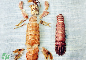 蝦爬子有黃嗎？蝦爬子黃營(yíng)養(yǎng)價(jià)值