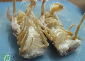 蝦爬子怎么分公母？蝦爬子公母區(qū)別