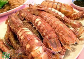 蝦爬子怎么分公母？蝦爬子公母區(qū)別