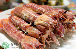 蝦爬子怎么分公母？蝦爬子公母區(qū)別