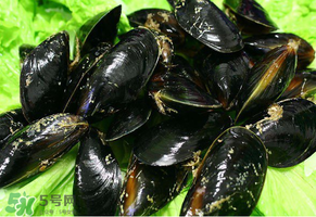 哪些人不適合吃淡菜？淡菜什么人不能吃？