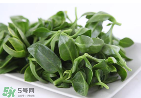 冰菜和穿心蓮是同一種菜嗎？冰菜和穿心蓮是一科嗎？