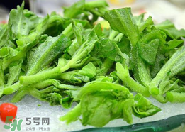 冰菜孕婦能吃嗎？孕婦能不能吃冰菜？