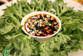 冰菜怎么涼拌？冰菜可以用沙拉醬拌嗎？