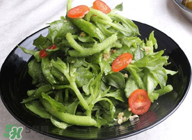 冰菜怎么涼拌？冰菜可以用沙拉醬拌嗎？