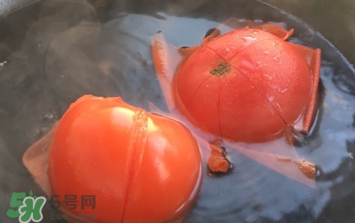 番茄怎么去皮？如何給番茄去皮