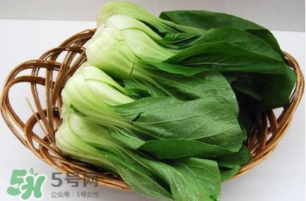 雞毛菜怎么種？雞毛菜的種植方法