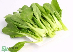 雞毛菜怎么種？雞毛菜的種植方法