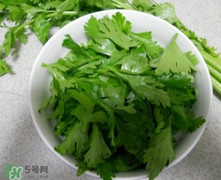 芹菜葉怎么吃？芹菜葉吃法