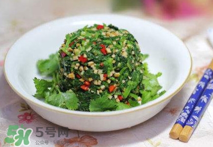 芹菜葉怎么吃？芹菜葉吃法