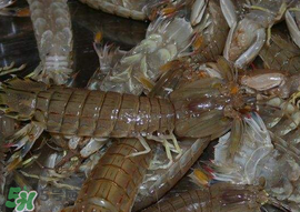 爬蝦哪些部位不能吃？爬哪里不能吃圖解？