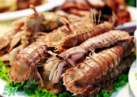 爬蝦哪些部位不能吃？爬哪里不能吃圖解？