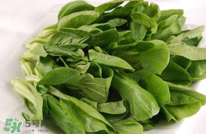 雞毛菜怎么做？雞毛菜的做法