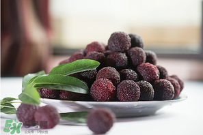 楊梅什么時(shí)候上市？楊梅幾月上市？