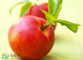 油桃可以放冰箱嗎？油桃能放冰箱嗎？