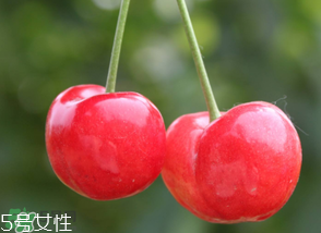 櫻桃籽有毒嗎？櫻桃籽能吃嗎？