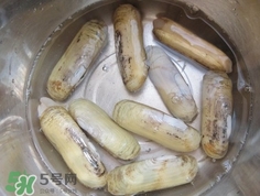 怎么樣讓蟶子吐沙？如何讓蟶子吐沙