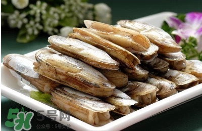 蟶子怎么看死活？怎么判斷蟶子死活