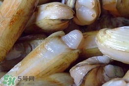 蟶子是海鮮嗎？蟶子是海鮮還是河鮮