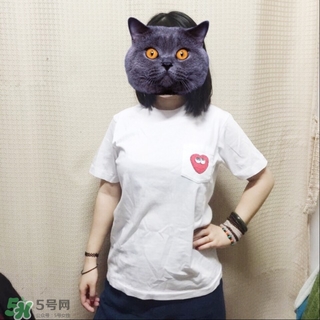 優(yōu)衣庫xKAWS合作系列衣服多少錢與試穿圖片 優(yōu)衣庫xKAWS合作系列衣服多少錢與試穿圖片