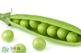 生豌豆有毒嗎？豌豆生吃有毒嗎？