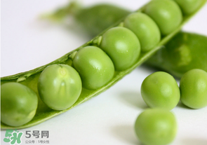 生豌豆有毒嗎？豌豆生吃有毒嗎？
